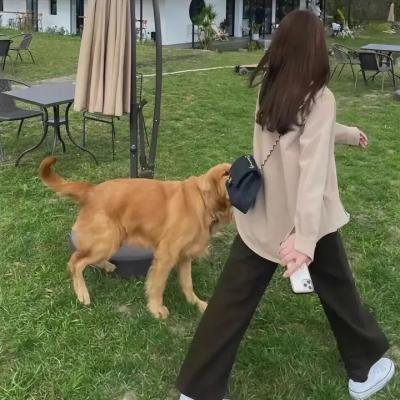 《牙狼 炎之刻印》海报